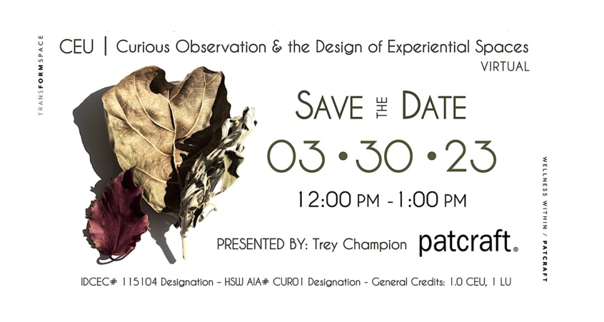 CEU | Curious Observation & the Design of Experiential Spaces